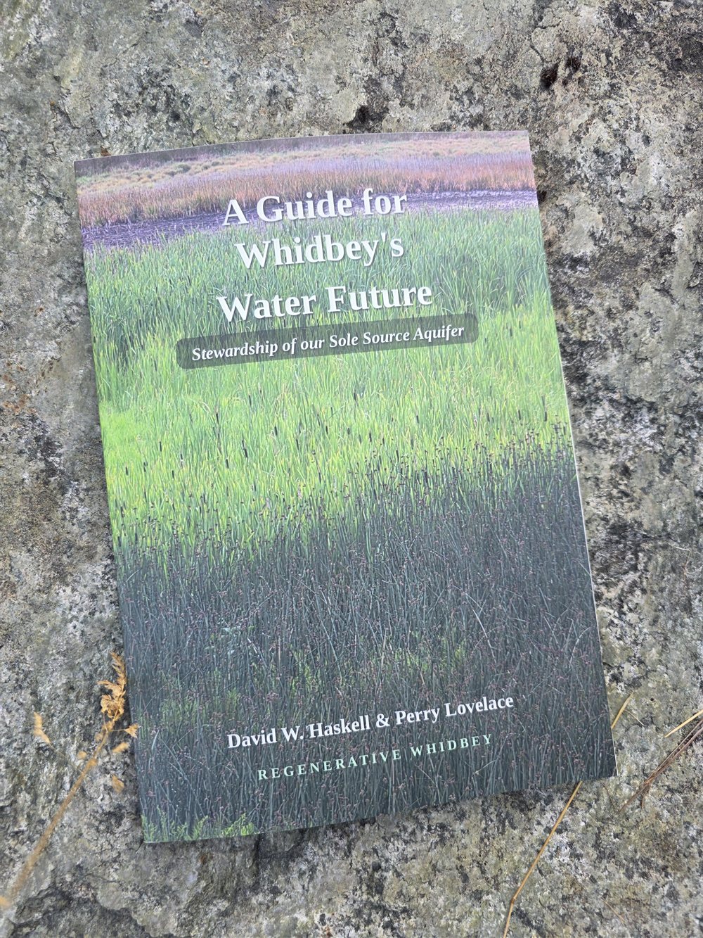 The printed guide A Guide for Whidbey’s Water Future, resting on a lichen-covered rock